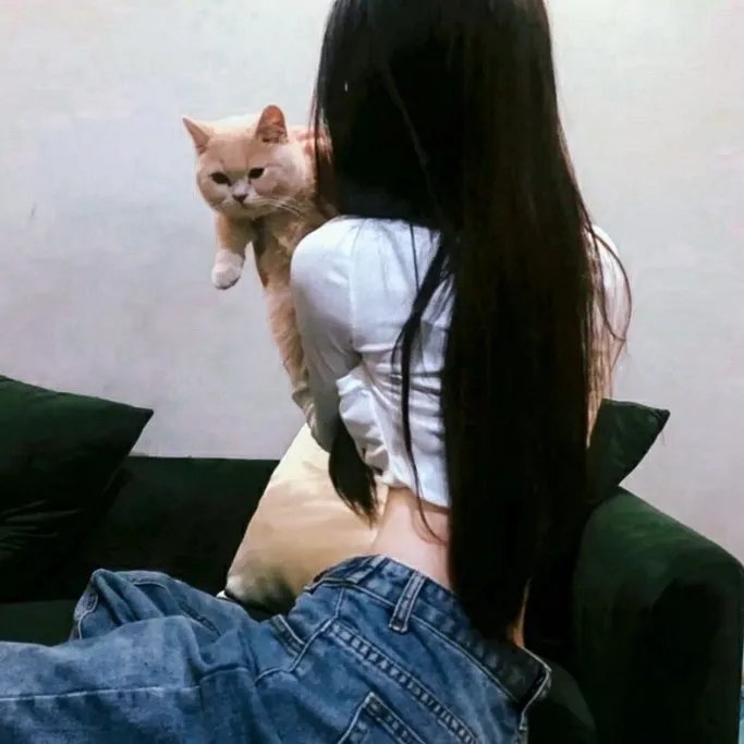 宠物情劫